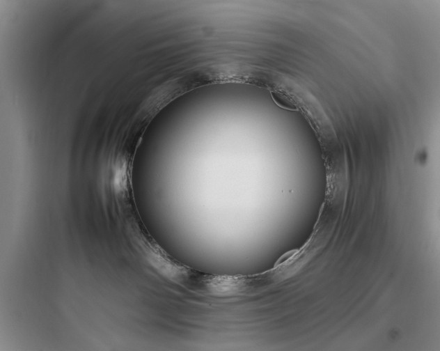 X0000097900142200803211450