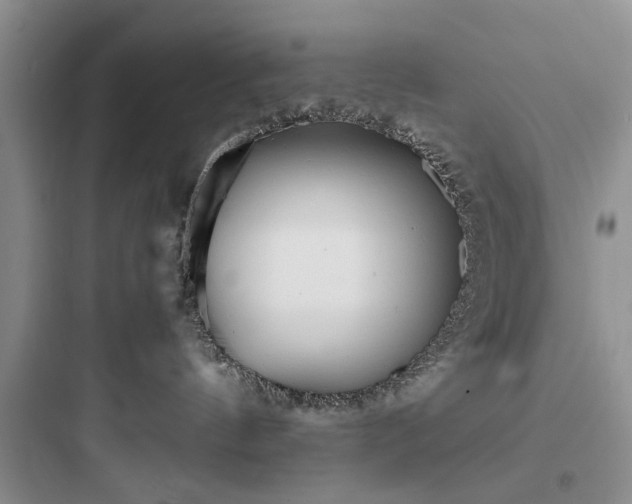 X0000097900144200803211450