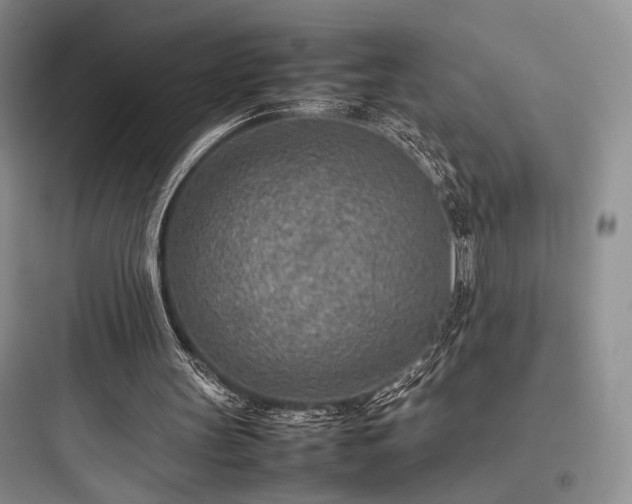 X0000097900147200803211449