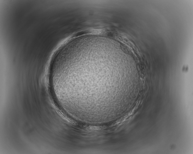 X0000097900149200803211449