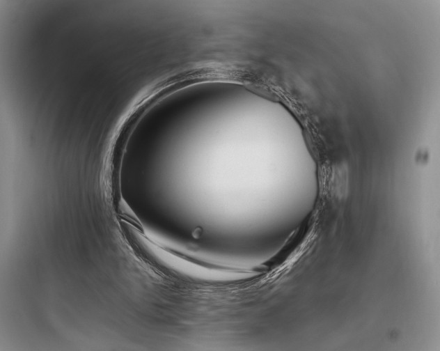 X0000097900150200803211449