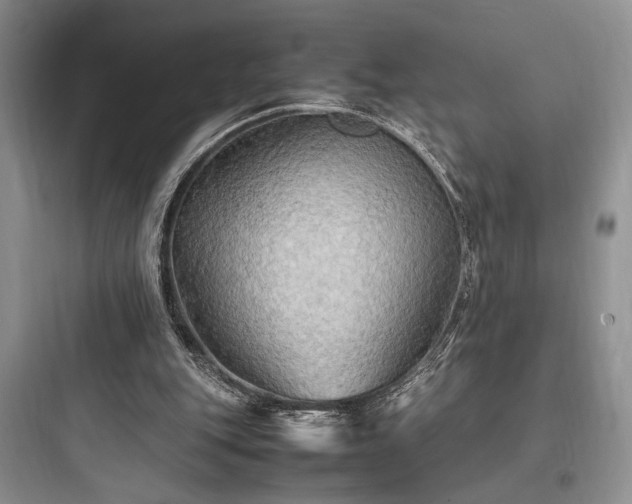 X0000097900151200803211449
