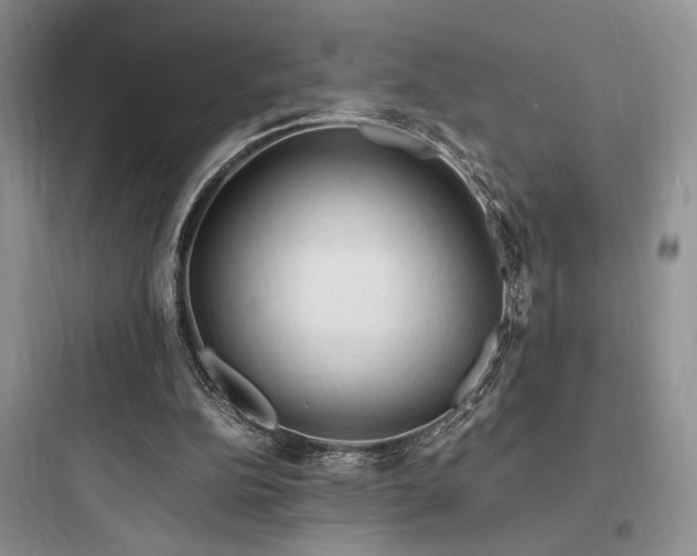 X0000097900152200803211449