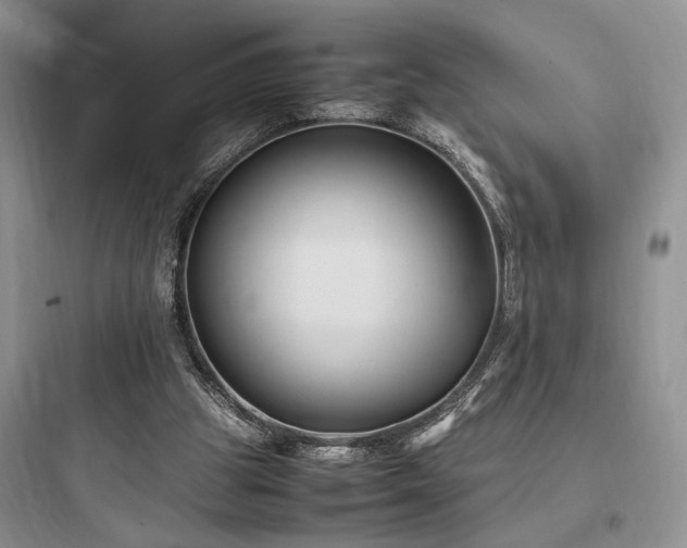 X0000097900153200803211449