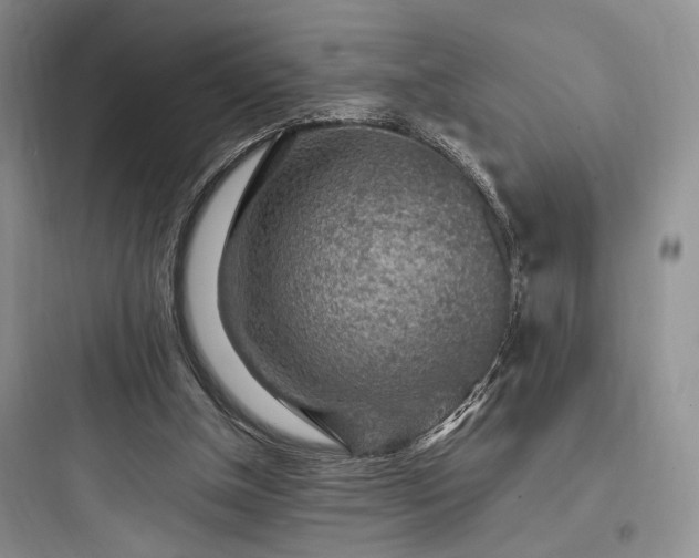 X0000097900154200803211449