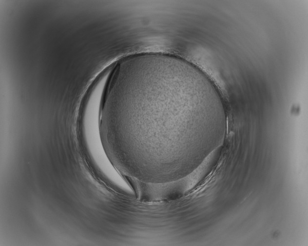 X0000097900156200803211449