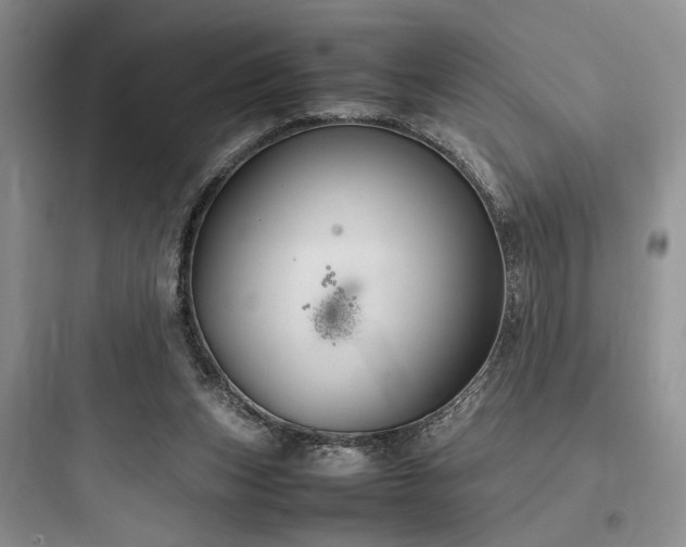 X0000097900159200803211449