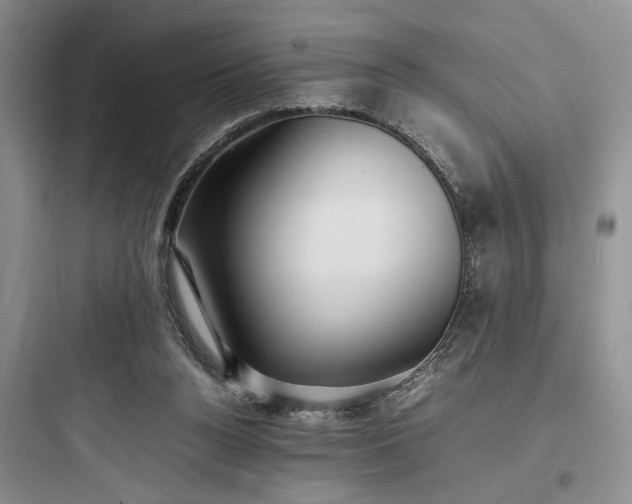 X0000097900160200803211449