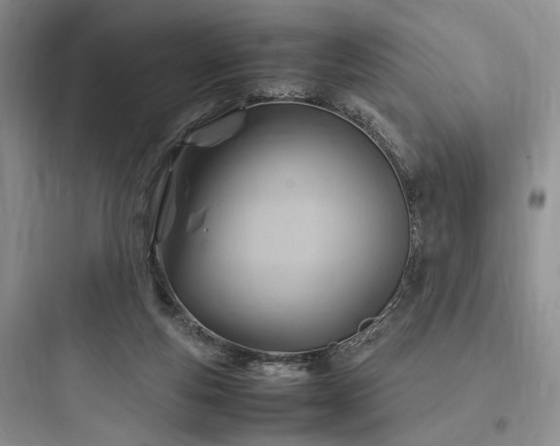 X0000097900163200803211450