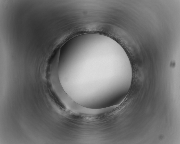 X0000097900164200803211450
