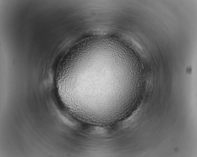 X0000097900166200803211450