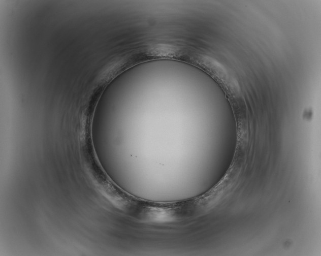 X0000097900167200803211450