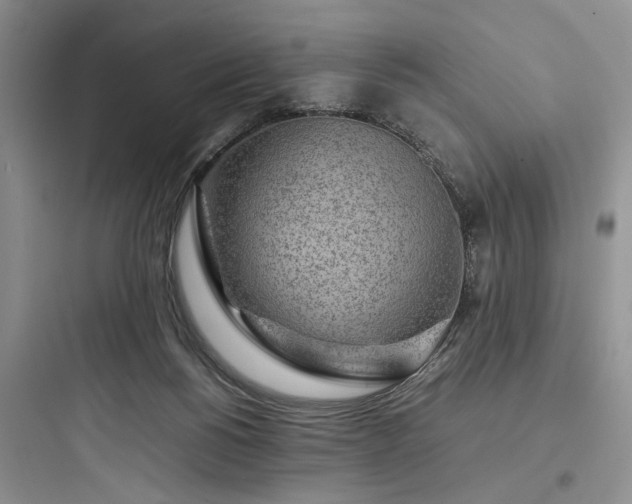 X0000097900168200803211450