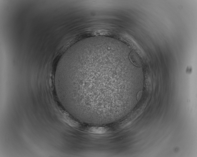 X0000097900169200803211450