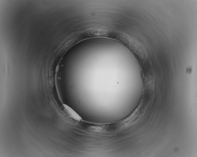 X0000097900170200803211450
