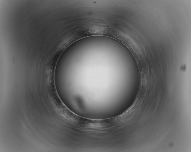 X0000097900171200803211450