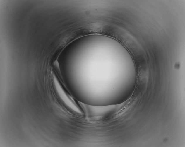 X0000097900172200803211450