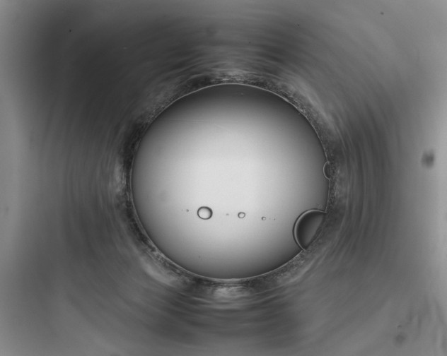 X0000097900173200803211450