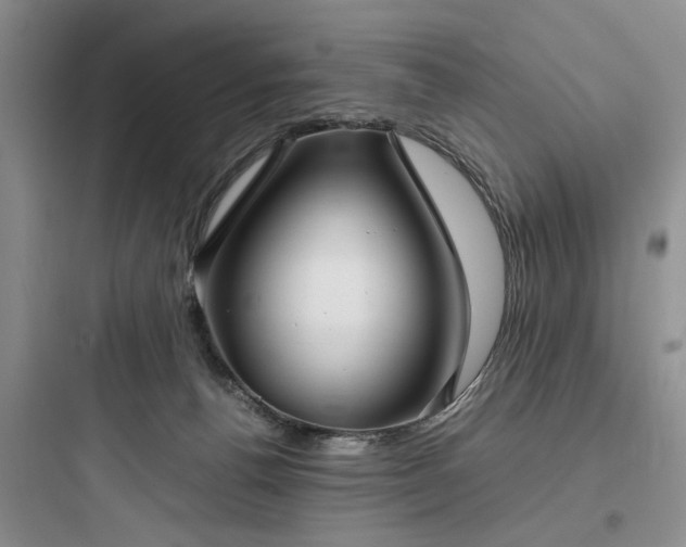 X0000097900176200803211450