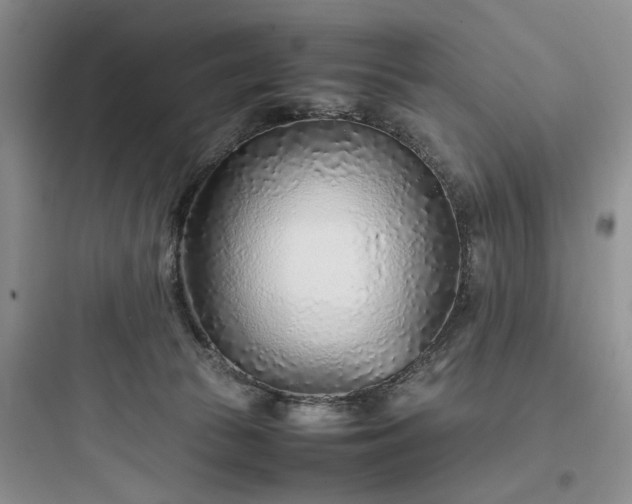 X0000097900177200803211450