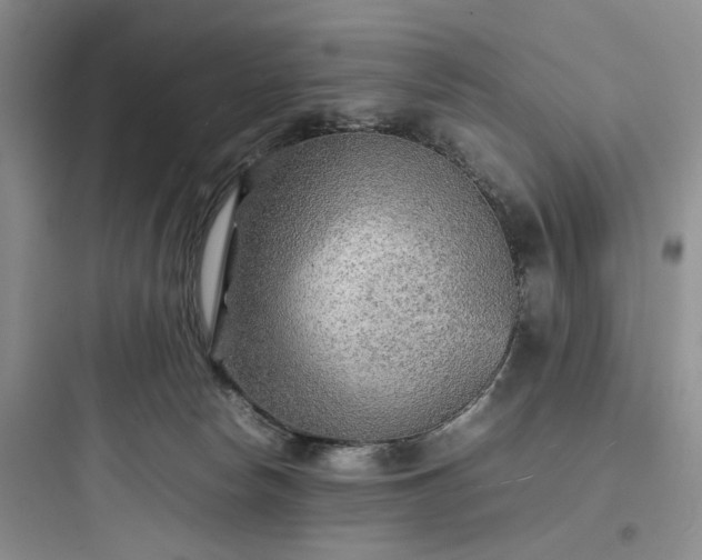 X0000097900178200803211450