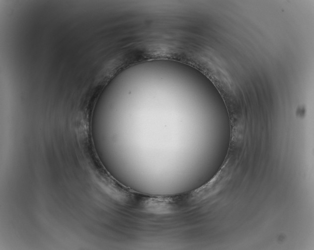 X0000097900179200803211450