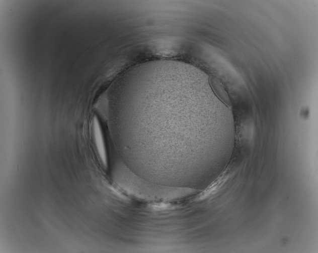 X0000097900180200803211450