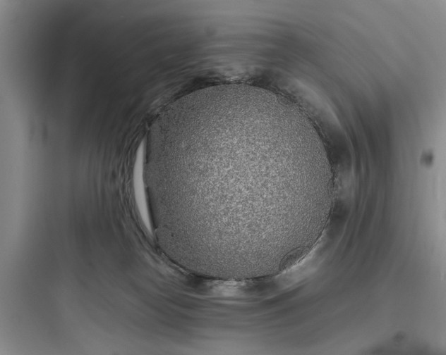 X0000097900182200803211450