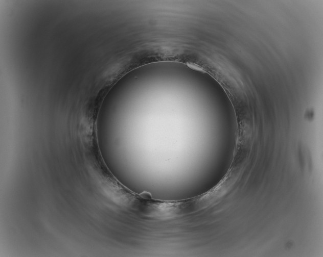 X0000097900184200803211450