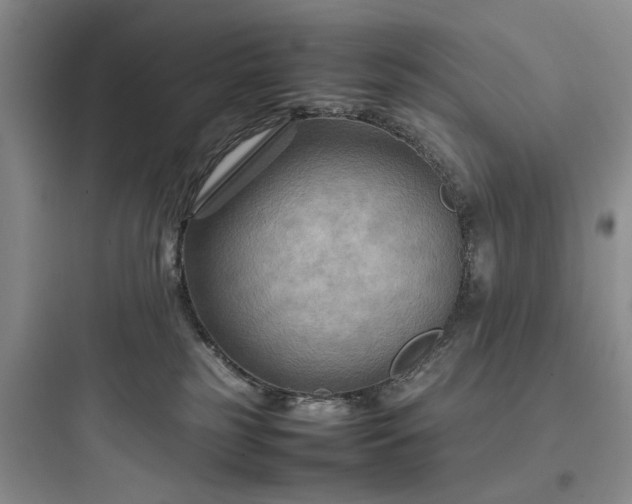 X0000097900185200803211450