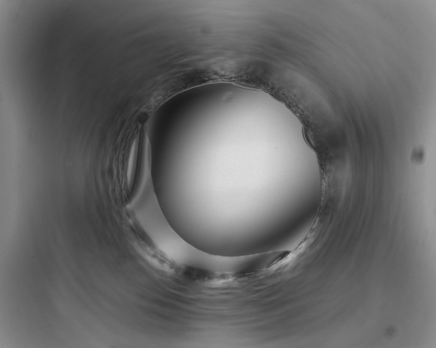 X0000097900186200803211450