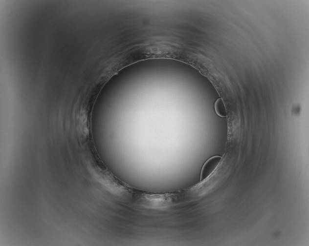 X0000097900187200803211450