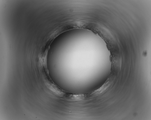 X0000097900188200803211450
