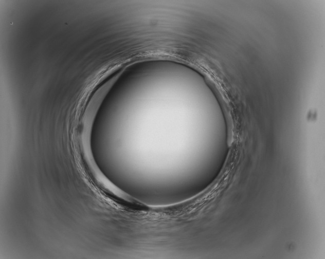 X0000097900193200803211449