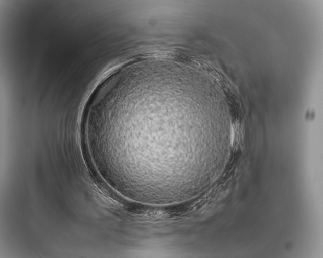 X0000097900195200803211449