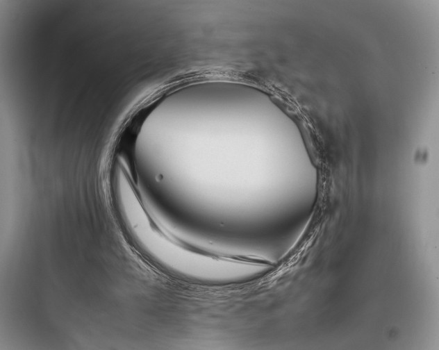 X0000097900197200803211449