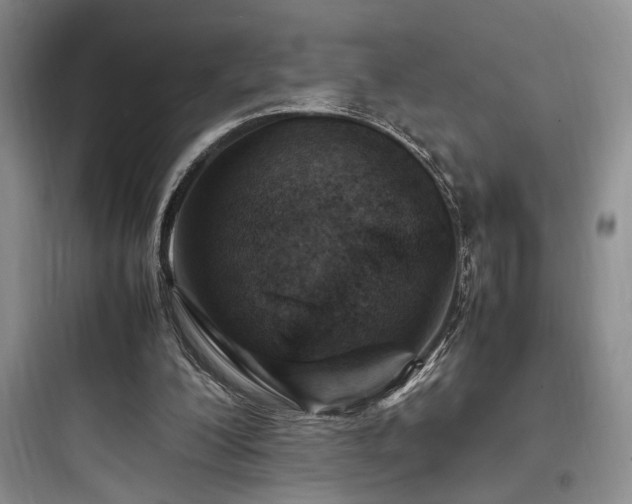 X0000097900200200803211449