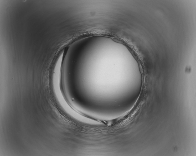 X0000097900201200803211449