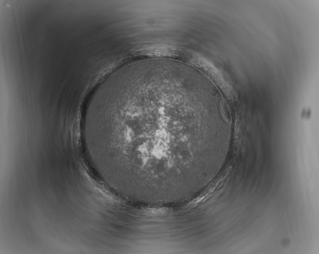 X0000097900202200803211449
