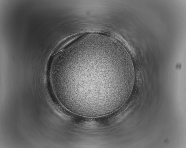 X0000097900203200803211449