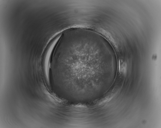 X0000097900204200803211449