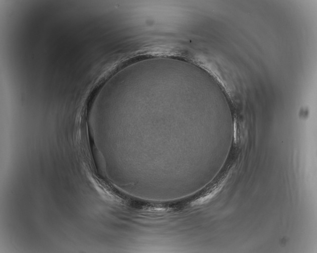 X0000097900205200803211449