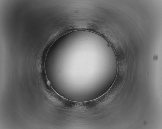 X0000097900207200803211449