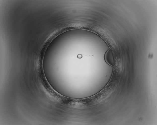 X0000097900208200803211449