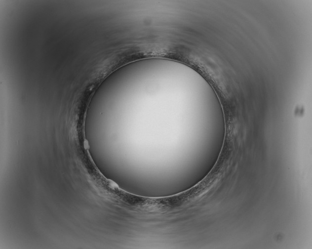 X0000097900209200803211449