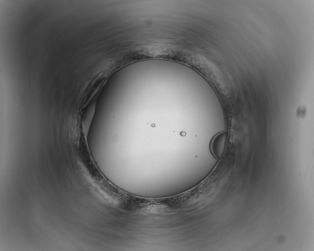 X0000097900210200803211449