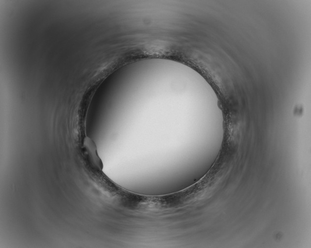 X0000097900211200803211449