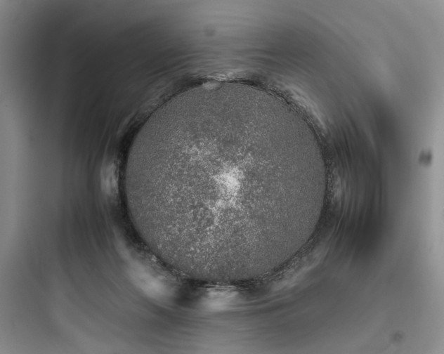 X0000097900214200803211449