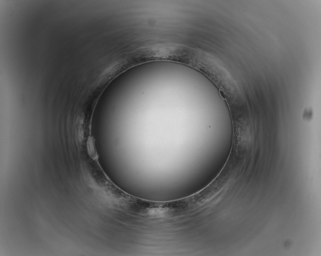 X0000097900216200803211449