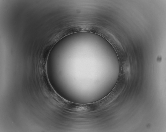 X0000097900218200803211449